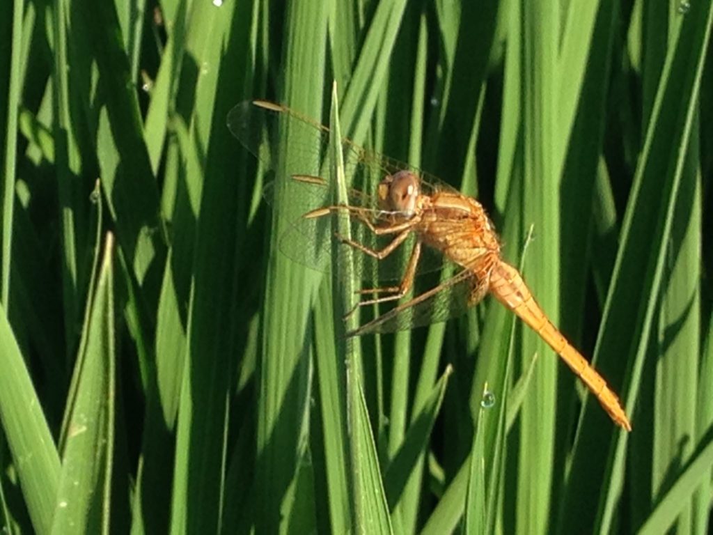 Imagen REPORTAJE FOTOGRÁFICO