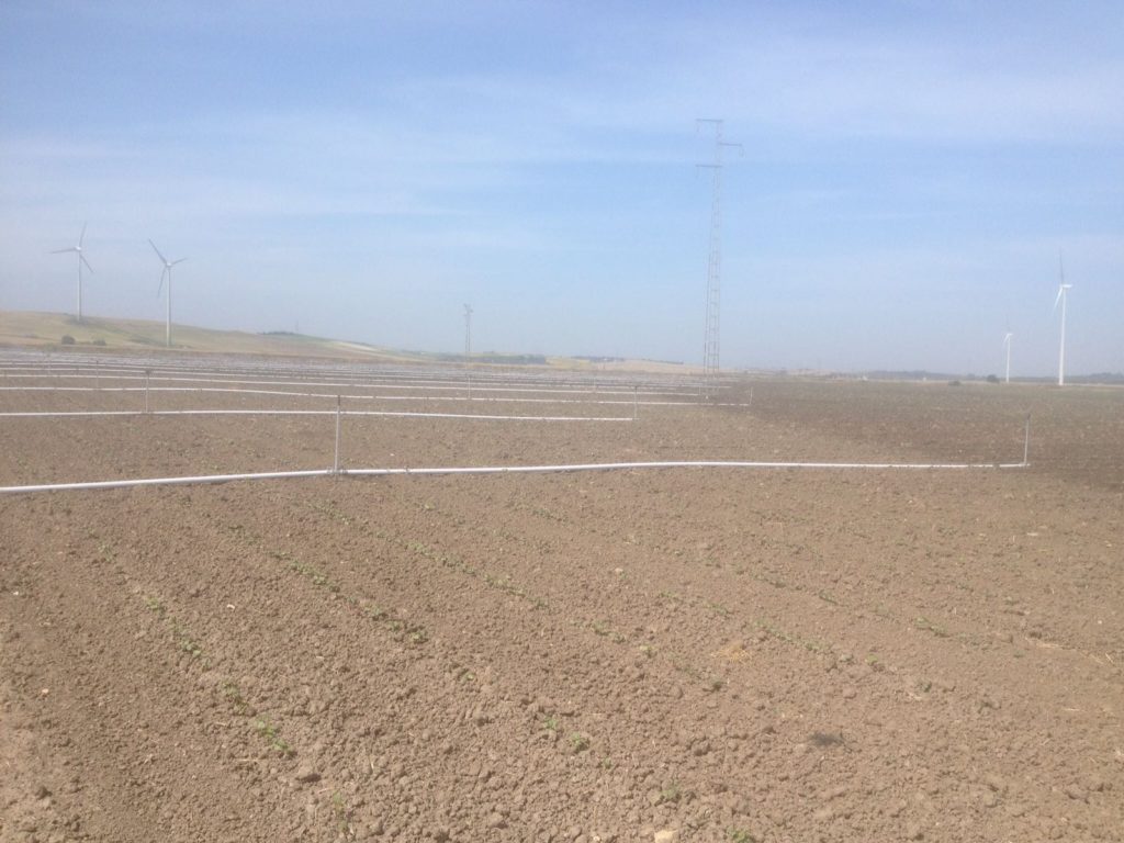 Imagen REPORTAJE FOTOGRÁFICO PARCELAS