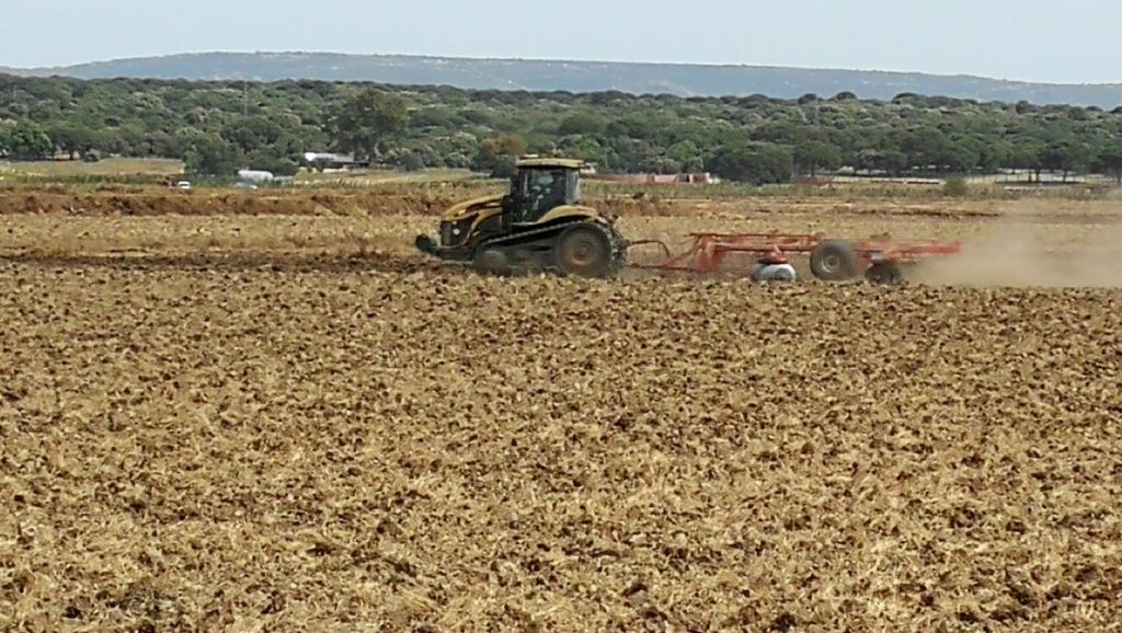 Imagen TRATAMIENTOS RECOMENDADOS