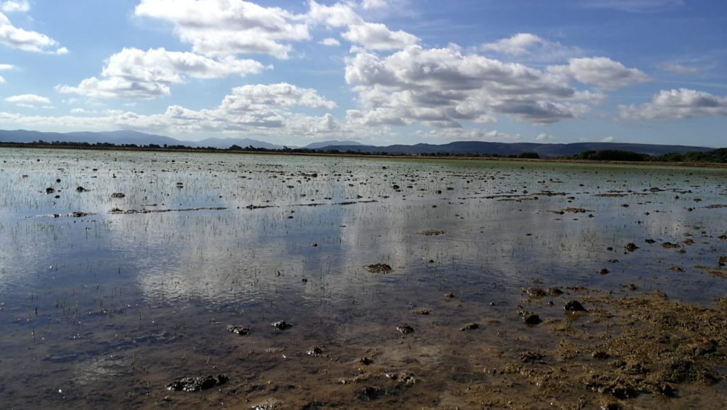 Imagen SOLICITUD Y AUTORIZACIONES EXCEPCIONALES M.A.