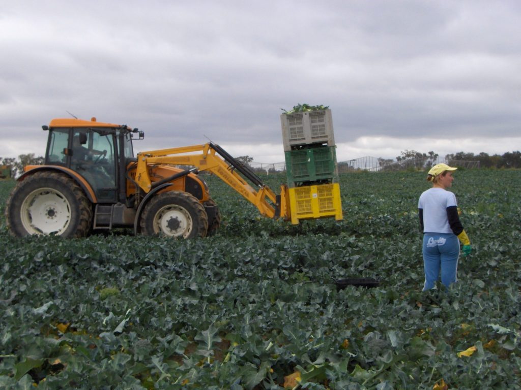 Imagen SUBVENCIONES PARA LA CONTRATACIÓN DE JÓVENES, EMPLEO ESTABLE Y AMPLIACIÓN DE JORNADA