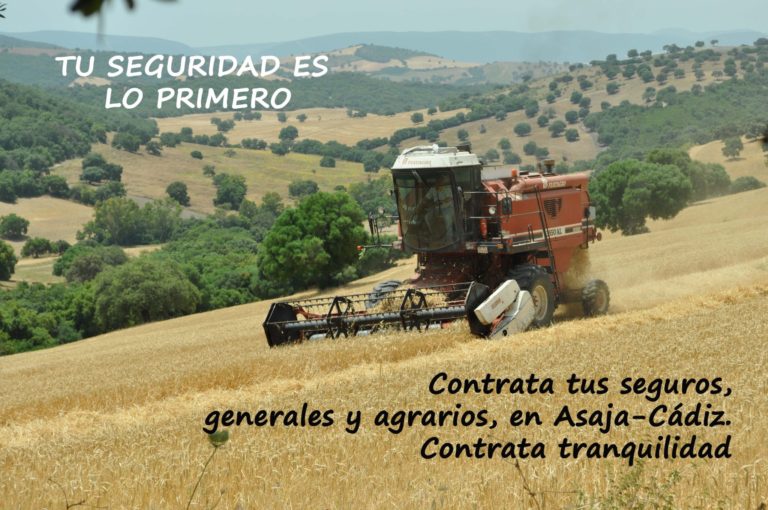 AYUDAS POR LA CONTRATACIÓN DE SEGUROS AGRARIOS