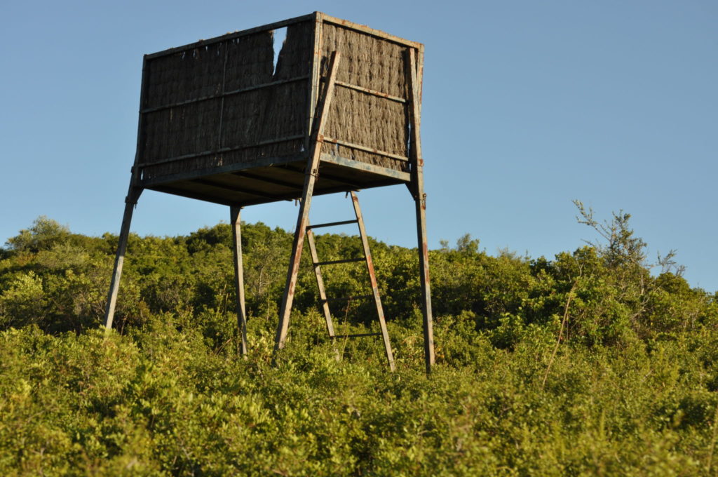 Imagen ORDEN GENERAL DE VEDA 2018/2019