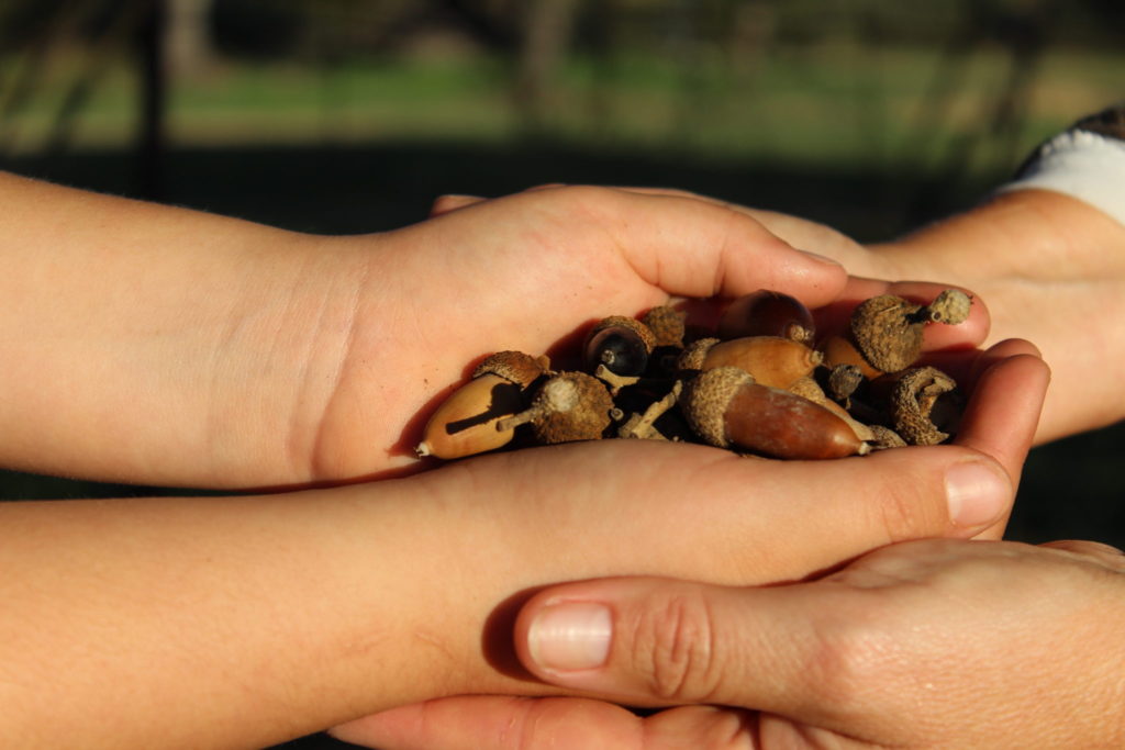 Imagen AYUDAS AL RELEVO GENERACIONAL EN PYMES COMERCIALES Y ARTESANAS