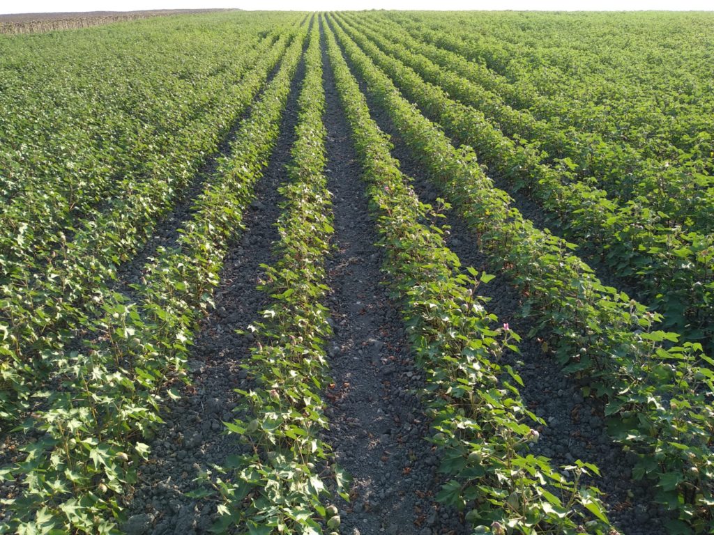 Imagen EVENTOS Y NOTICIAS