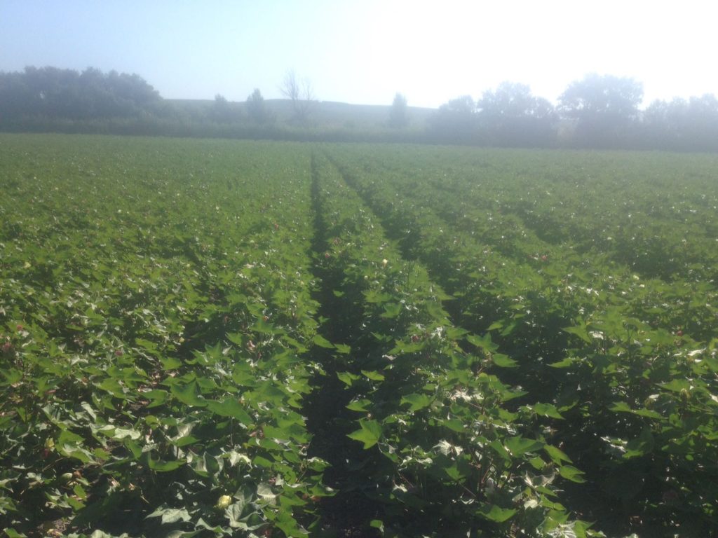 Imagen REPORTAJE FOTOGRÁFICO