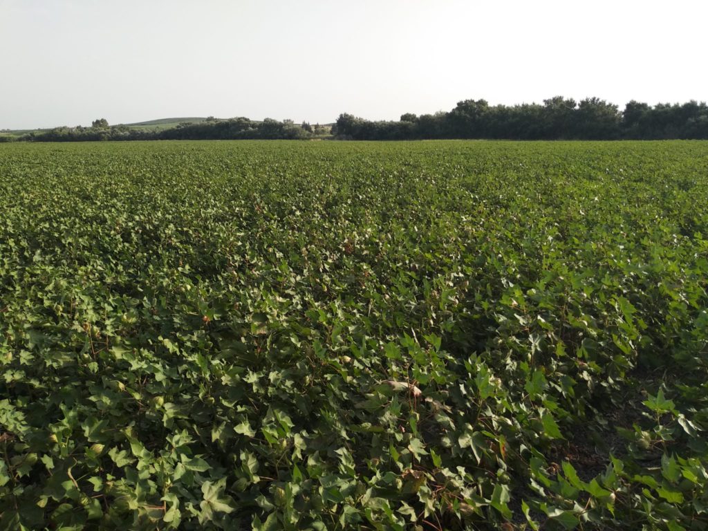 Imagen REPORTAJE FOTOGRÁFICO