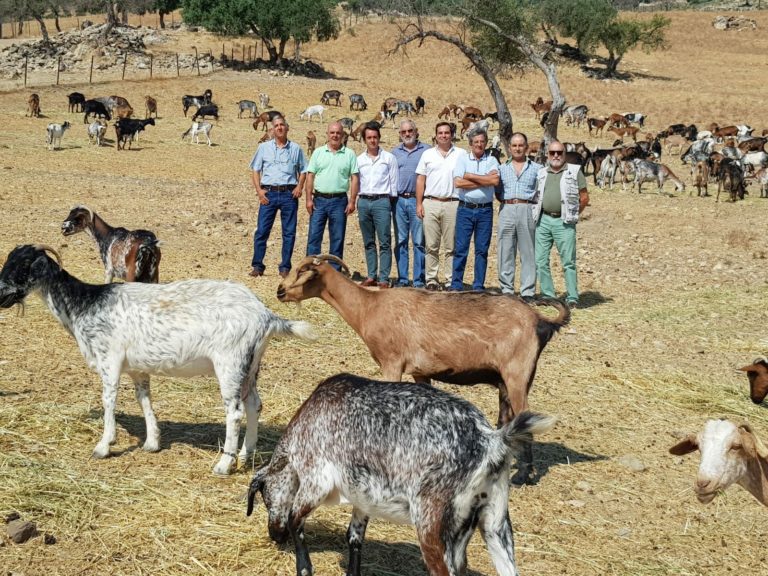 ASAJA-CADIZ A PIE DE CAMPO CON LOS GANADEROS DE LA SIERRA