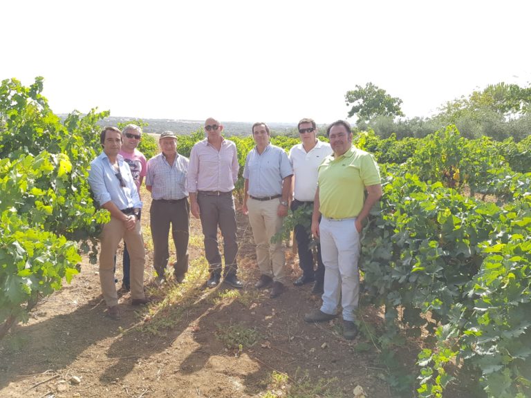 Nueva oficina de Asaja-Cádiz en Setenil de las Bodegas