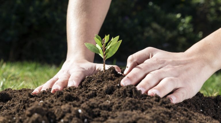 RECORDATORIO TERCER PAGO JÓVENES AGRICULTORES DE LA CONVOCATORIA 2022