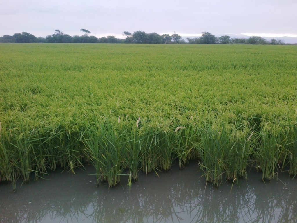 Imagen EVENTOS Y NOTICIAS