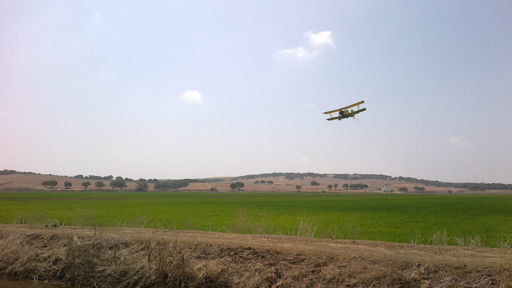 Imagen INCIDENCIAS: PLAGAS Y ENFERMEDADES