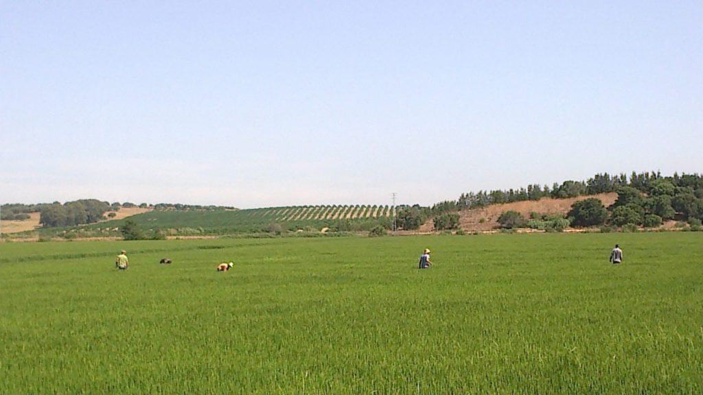 Imagen REPORTAJE FOTOGRÁFICO