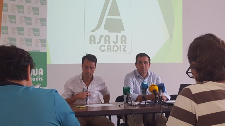 Asaja-Cádiz denuncia el fiasco para el campo de la provincia de las Ayudas de Modernización 2016 donde los fondos ITI, para esta ayuda, están sustituyendo en vez de apoyando