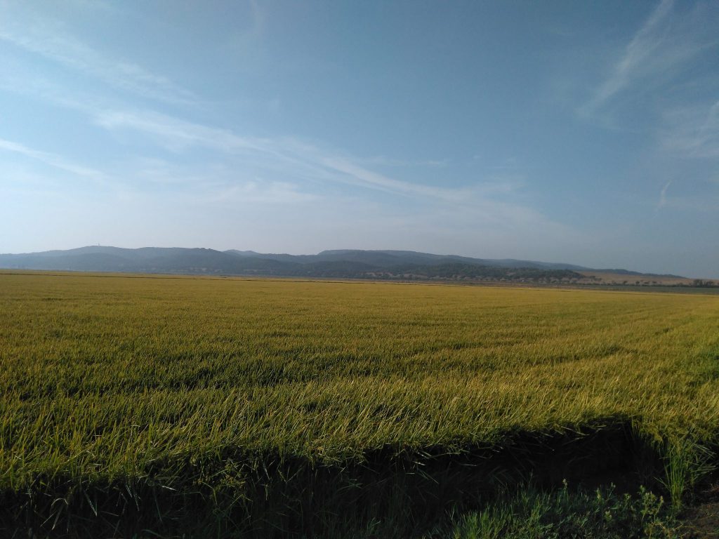 Imagen EVENTOS Y NOTICIAS