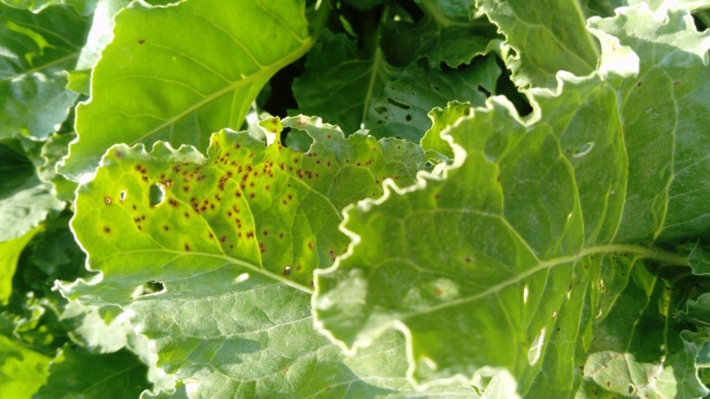 Imagen REPORTAJE FOTOGRÁFICO