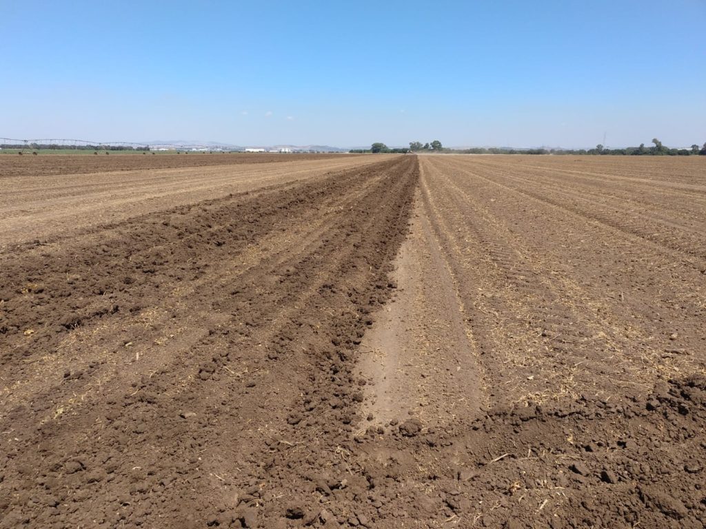 Imagen ACTUALIZACIÓN RESOLUCIÓN SOLICITUDES DE DERECHOS DE PAGO BÁSICO