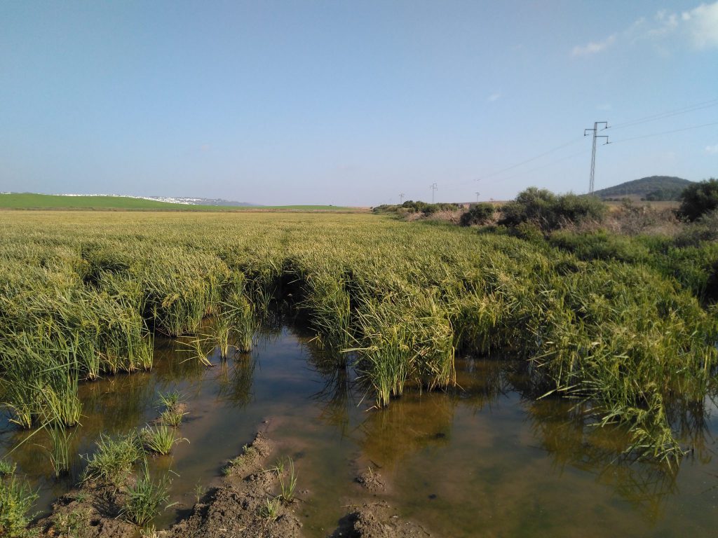 Imagen REPORTAJE FOTOGRÁFICO