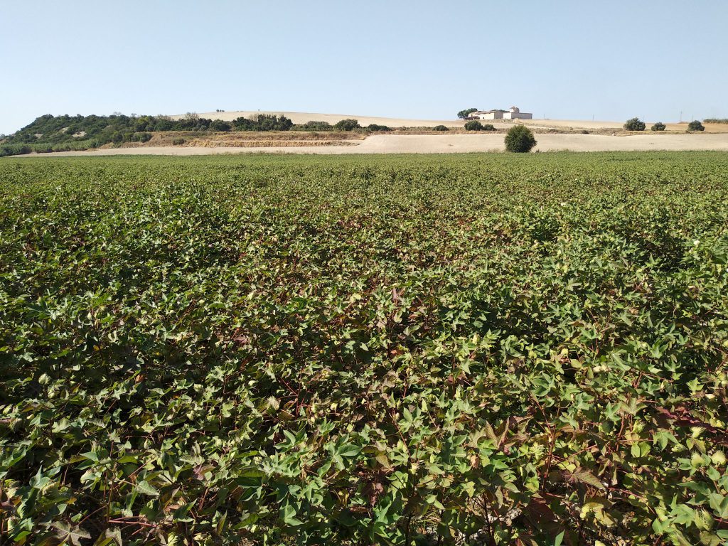 Imagen TRATAMIENTOS RECOMENDADOS