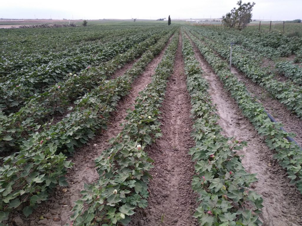 Imagen REPORTAJE FOTOGRÁFICO