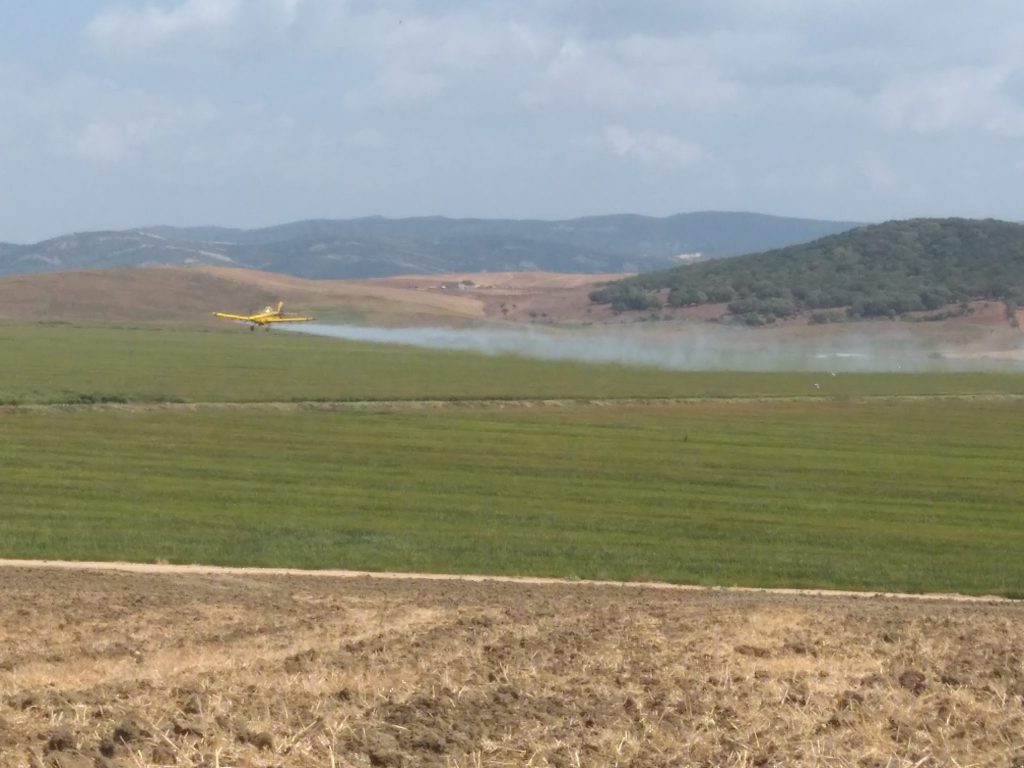 Imagen INCIDENCIAS: PLAGAS Y ENFERMEDADES