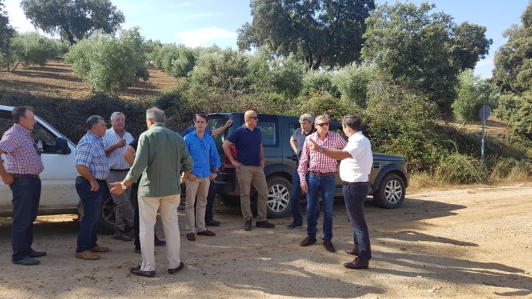 Pedro Gallardo acude a Setenil de las Bodegas para arropar a los agricultores y ganaderos afectados por la lluvia y el granizo