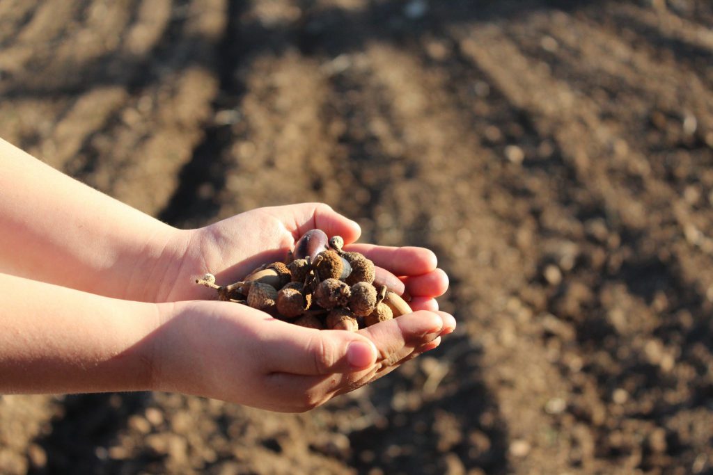 Imagen AYUDA DE JÓVENES (ITI): AMPLIACIÓN DE PLAZO
