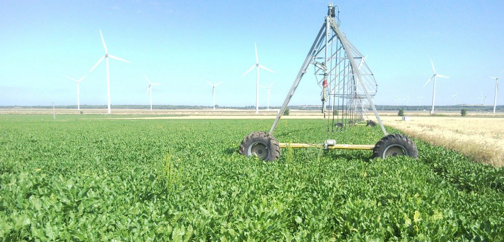 Imagen AYUDAS PARA MODERNIZACIÓN (SUBMEDIDA 4.1): MODIFICACIÓN DE LAS BASES REGULADORAS