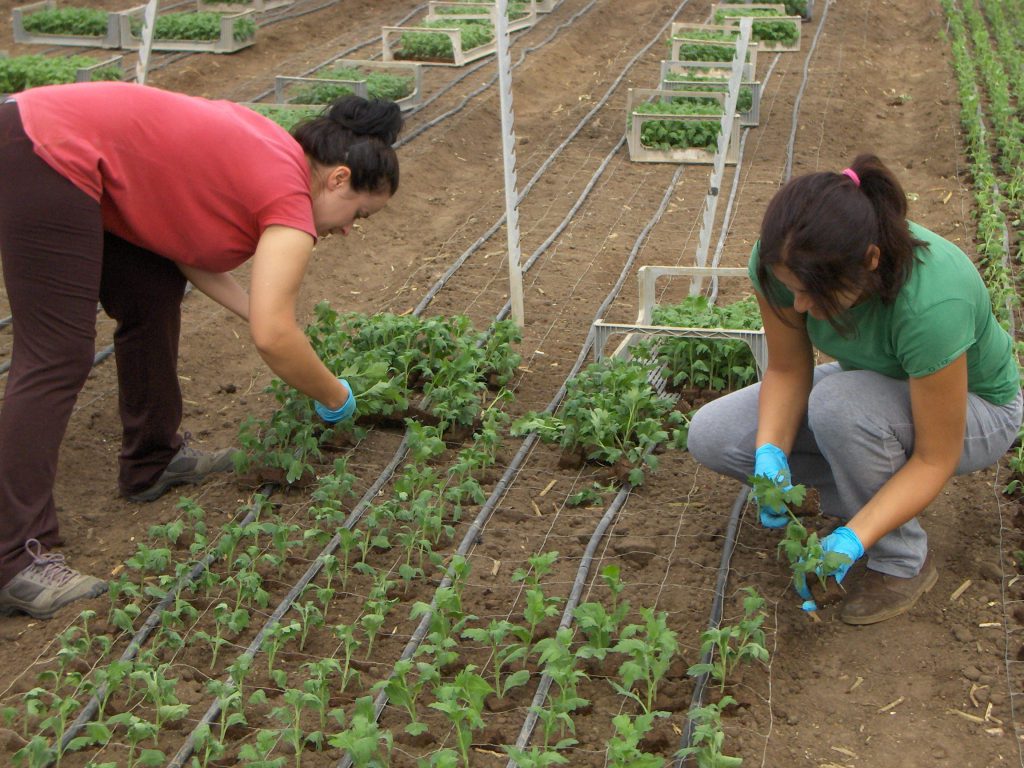 Imagen FORMULARIO DE INSCRIPCIÓN EN EL REGISTRO DE TITULARIDAD COMPARTIDA