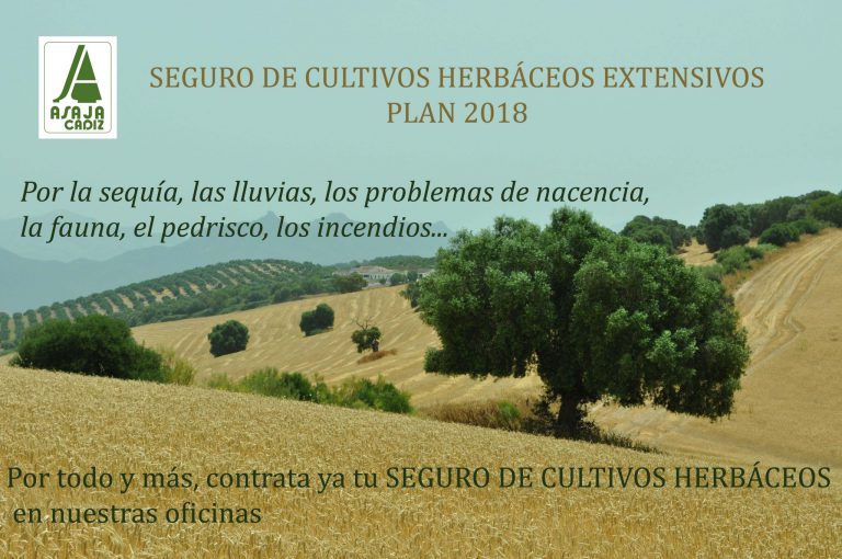 SEGURO DE CULTIVOS HERBÁCEOS EXTENSIVOS