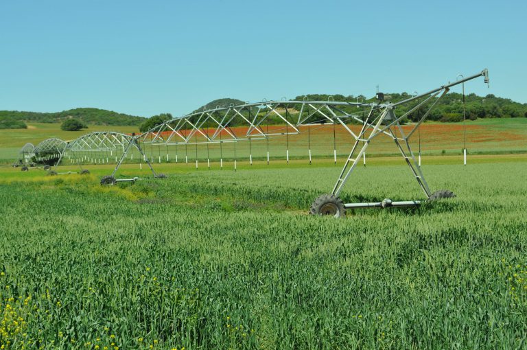 Asaja-Cádiz agradece a la Delegación Territorial de Agricultura de la Junta de Andalucía y a los Grupos de Desarrollo Rural, la modificación en las ayudas a los GDR