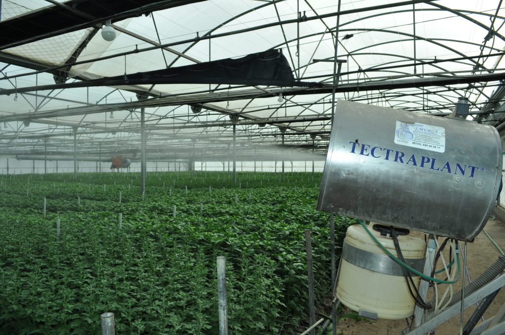 Imagen RESOLUCIÓN DE LAS AYUDAS PARA MODERNIZACIÓN DE INVERNADEROS (CONVOCATORIA 2016)