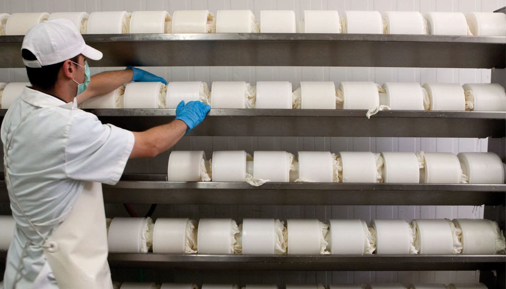 Imagen NORMATIVA PARA LA REGULACIÓN DE LA INDICACIÓN DEL ORIGEN DE LA LECHE