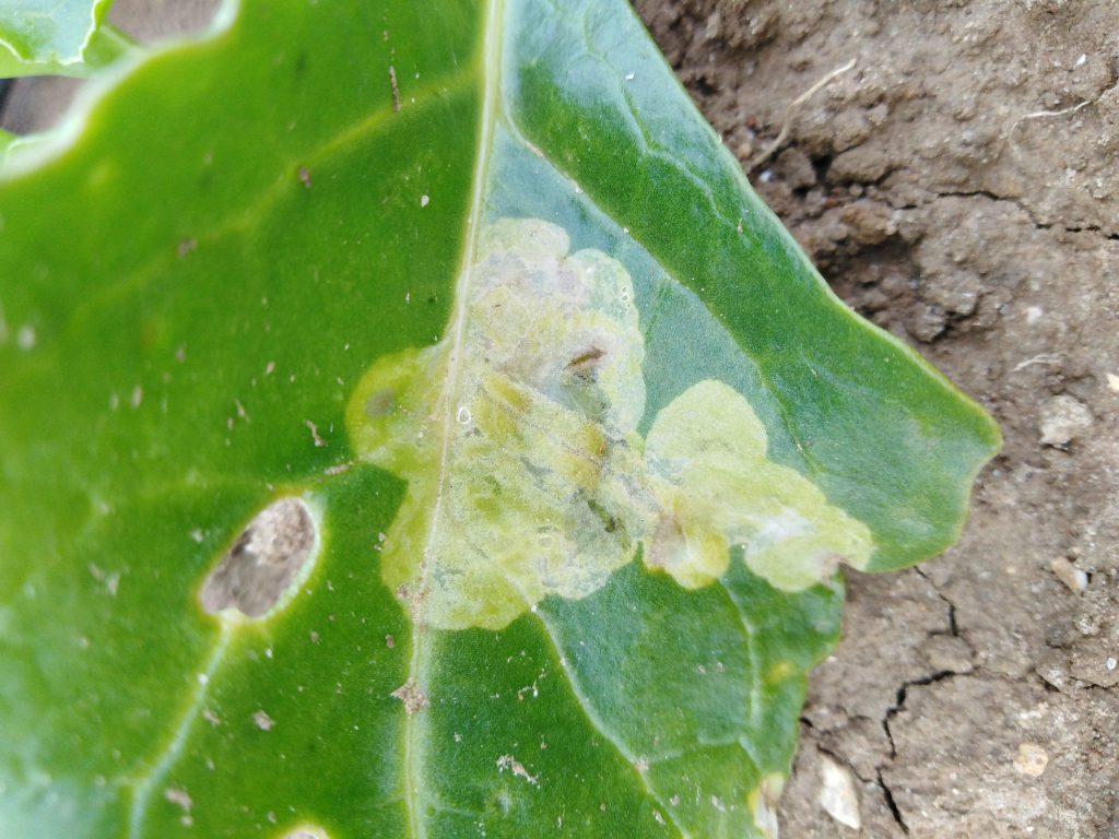 Imagen REPORTAJE FOTOGRÁFICO