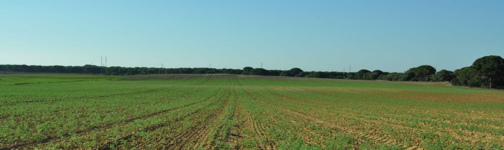 Imagen CONTROLES DEL CUADERNO DE EXPLOTACIÓN