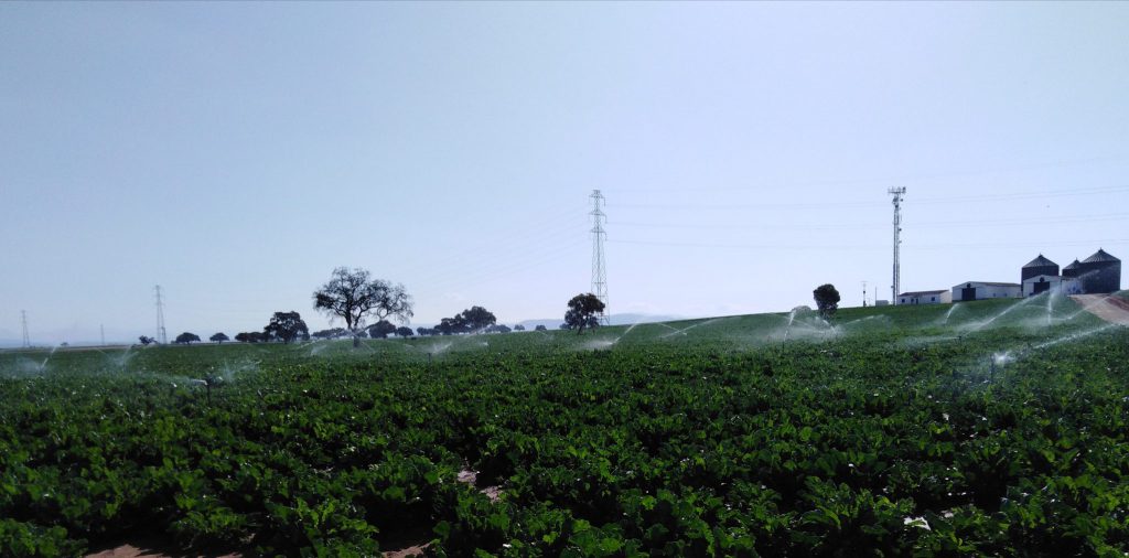 Imagen EVENTOS Y NOTICIAS