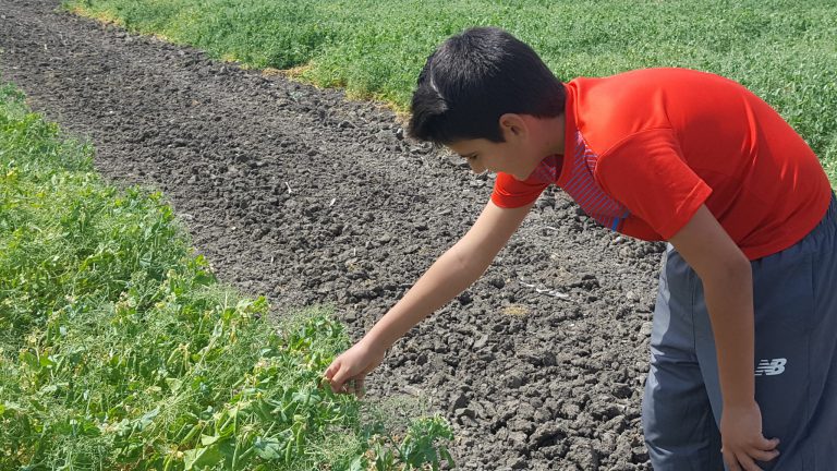 MODIFICACIÓN BASES REGULADORAS AYUDAS JÓVENES AGRICULTORES (SUBMEDIDA 6.1)