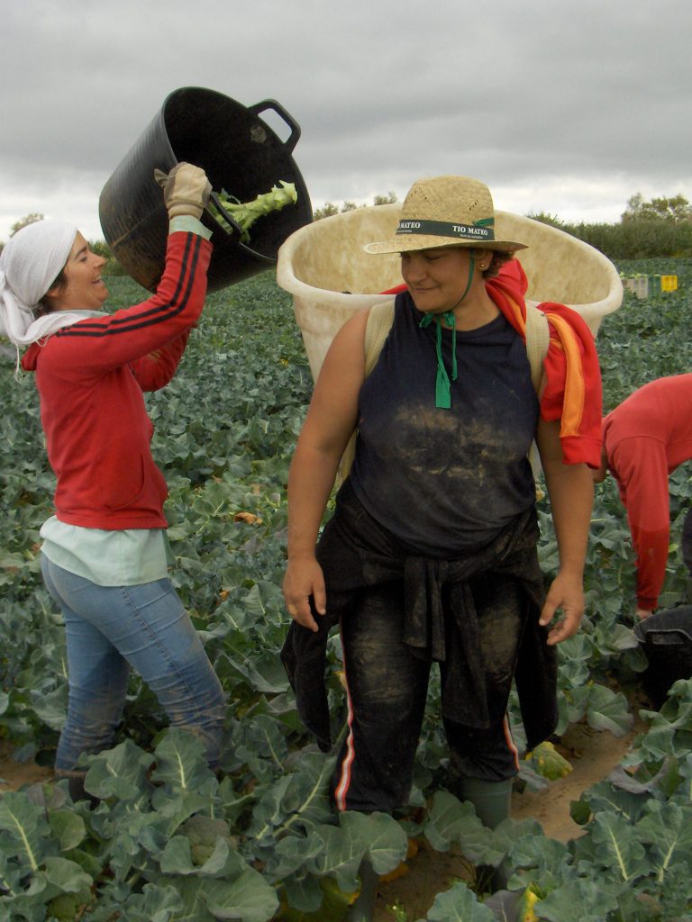 AYUDAS A LAS ENTIDADES DE MUJERES RURALES: BASES REGULADORAS