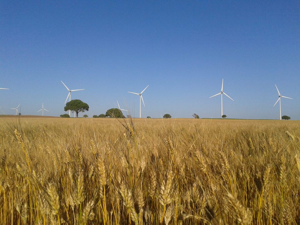 Imagen AMPLIACIÓN PRESENTACIÓN SOLICITUD ÚNICA PAC 2019