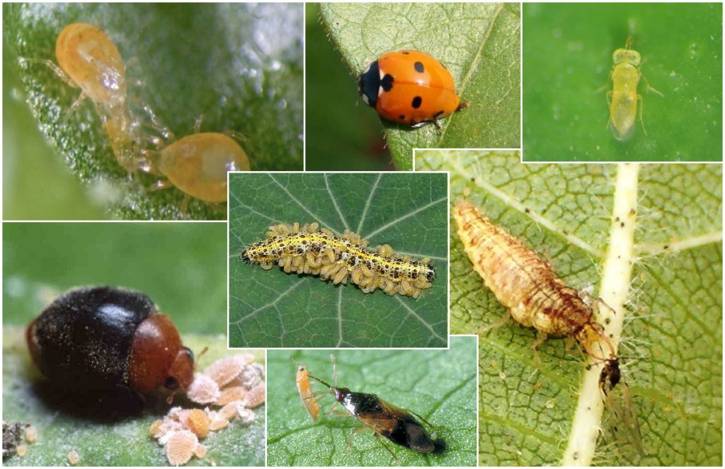 Imagen EVENTOS Y NOTICIAS