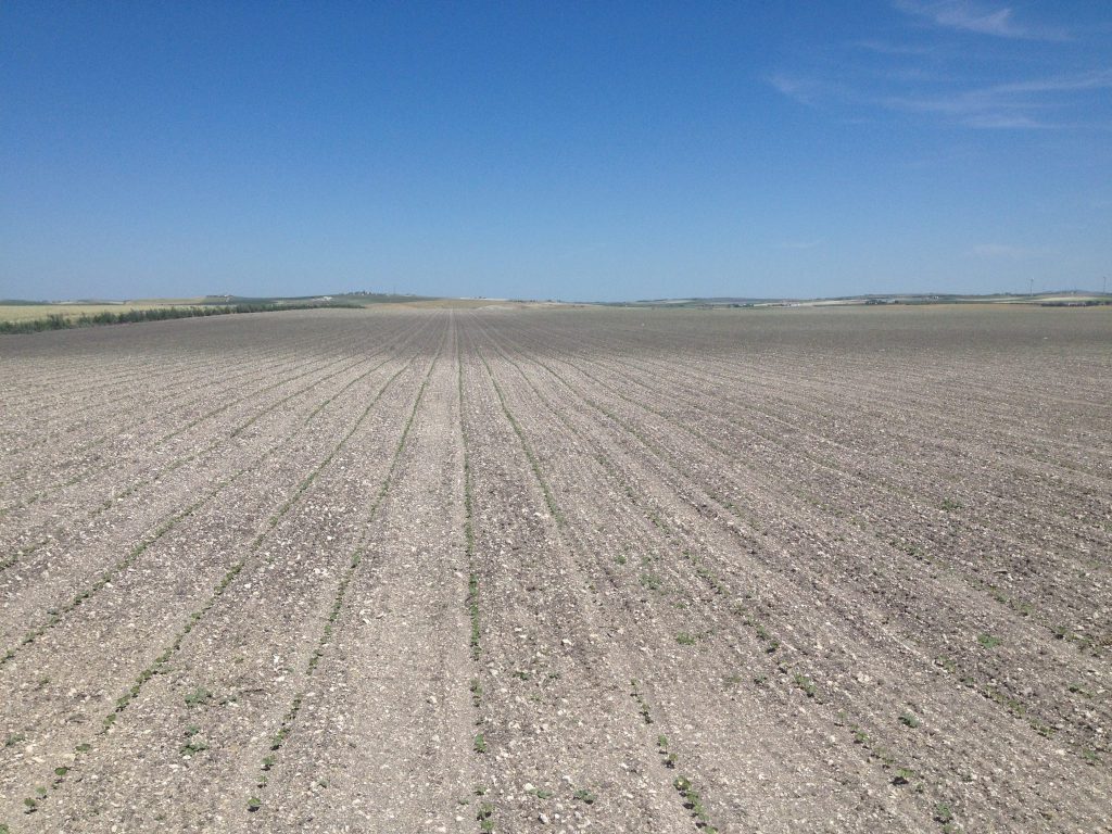 Imagen EVENTOS Y NOTICIAS