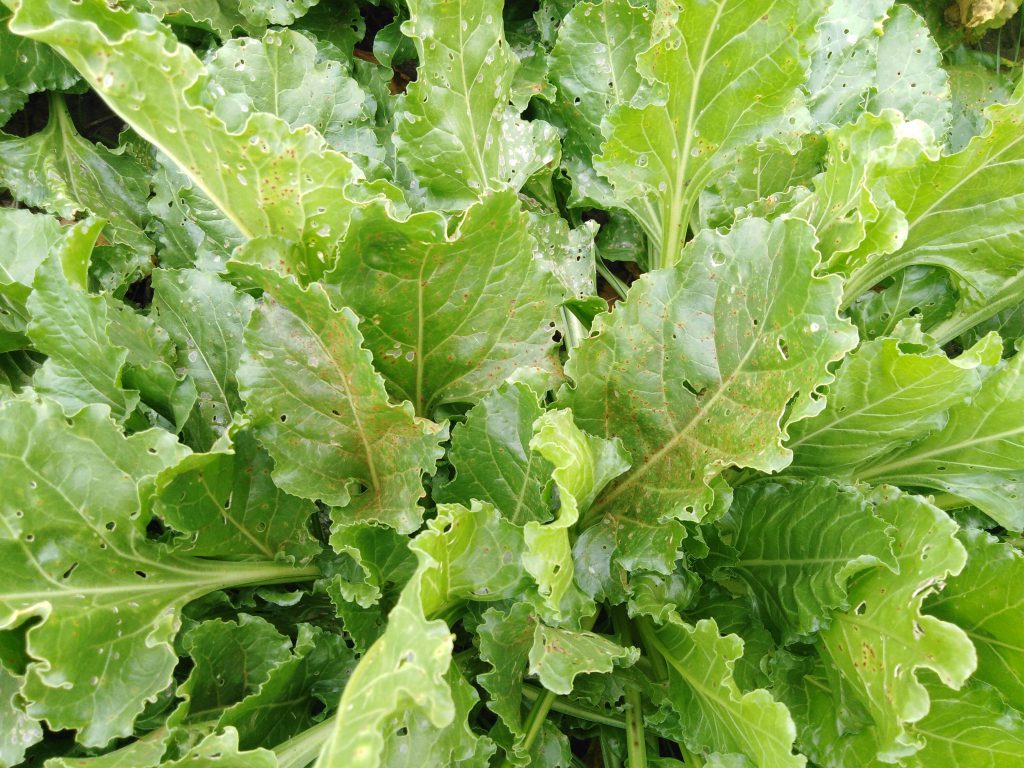 Imagen EVENTOS Y NOTICIAS