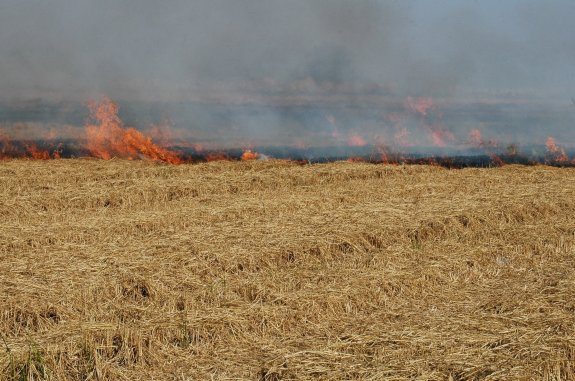 SUSPENSIÓN DE QUEMAS EN ACTIVIDADES AGRARIAS Y FORESTALES