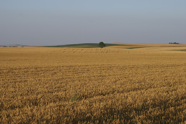 VOLTEO DE TIERRAS DE SECANO