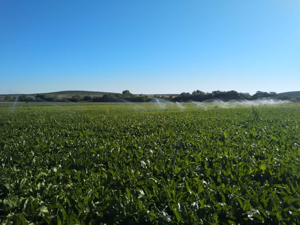 Imagen REPORTAJE FOTOGRÁFICO