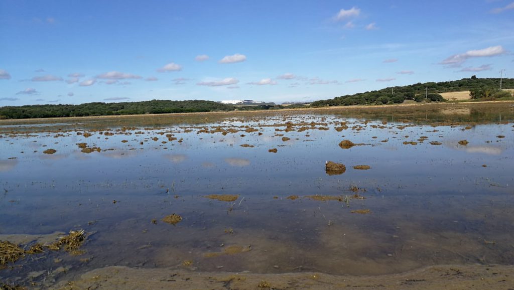 Imagen REPORTAJE FOTOGRÁFICO