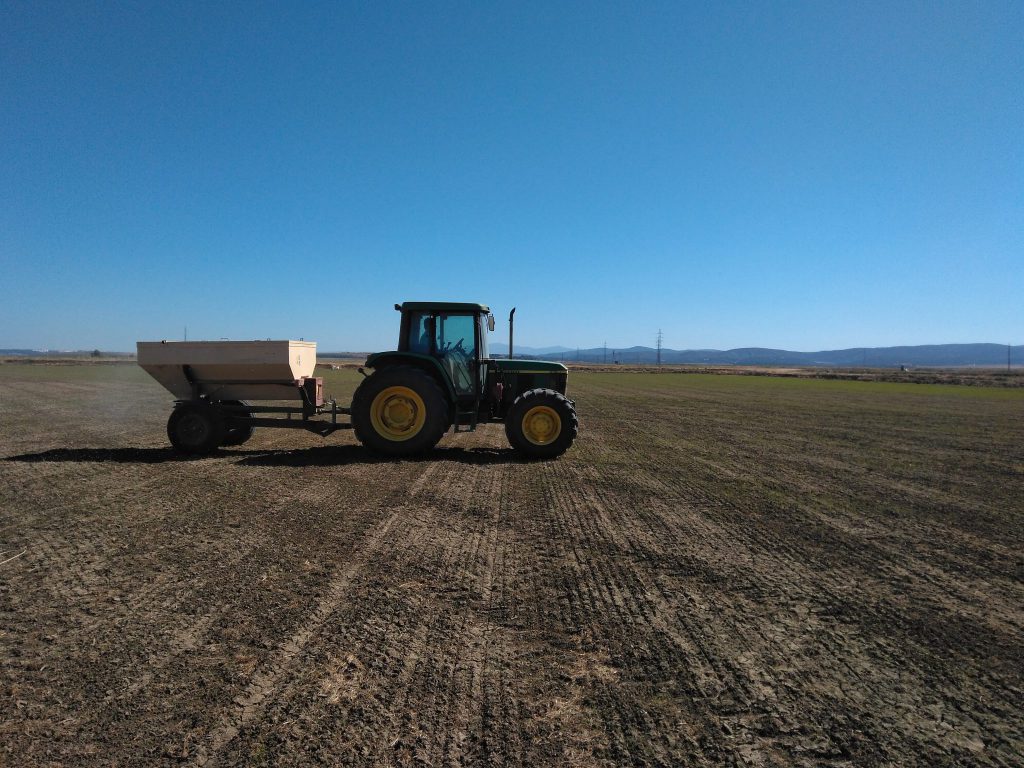 Imagen PRÁCTICAS RECOMENDADAS, PROHIBIDAS, OBLIGATORIAS EN PRODUCCIÓN INTEGRADA