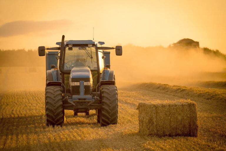 CONSULTA PÚBLICA PREVIA A LA ELABORACIÓN DEL REAL DECRETO PARA LA POLÍTICA AGRARIA COMÚN