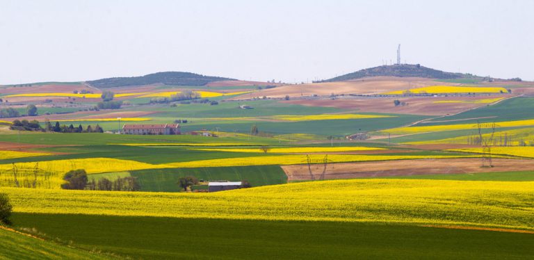 CIRCULAR DE COORDINACIÓN SOBRE PRÁCTICAS AGRÍCOLAS BENEFICIOSAS PARA EL CLIMA Y EL MEDIO AMBIENTE