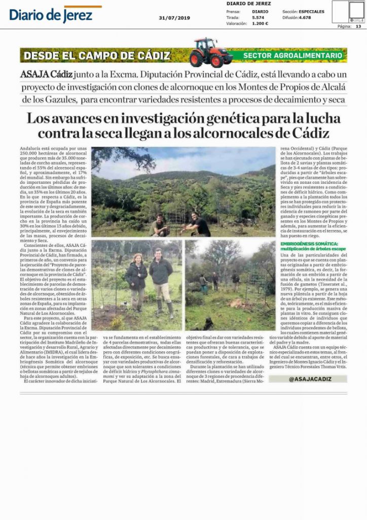 Imagen Los avances en investigación genética para la lucha contra la seca llegan a los Alcornocales de Cádiz